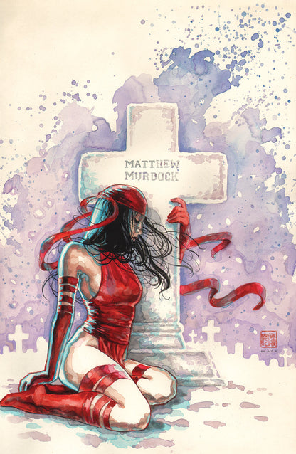 The Marvel Portfolio of David Mack - The Marvel Universe