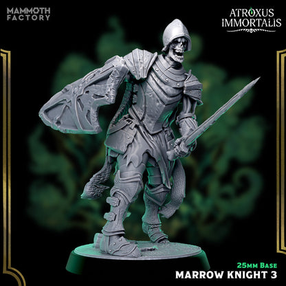 Marrow Knight Swordsmen – Undead Draugr Skeletal Soldier Miniatures