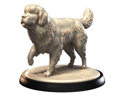 Dog Companions Vol. 1, Part 3