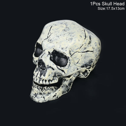 Halloween Skeleton Skull Prop