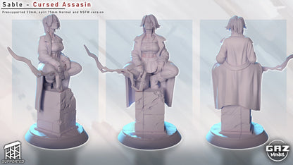 Sable - Cursed Assassin (SFW/NSFW 18+ Only)
