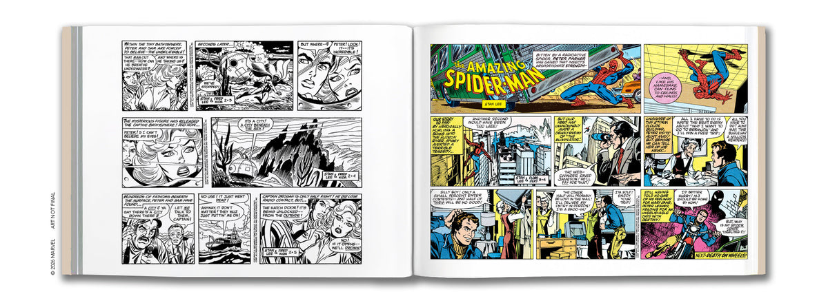 The Amazing Spider-Man Classic Newspaper Comics - 1982 PRE-ORDER NOW!