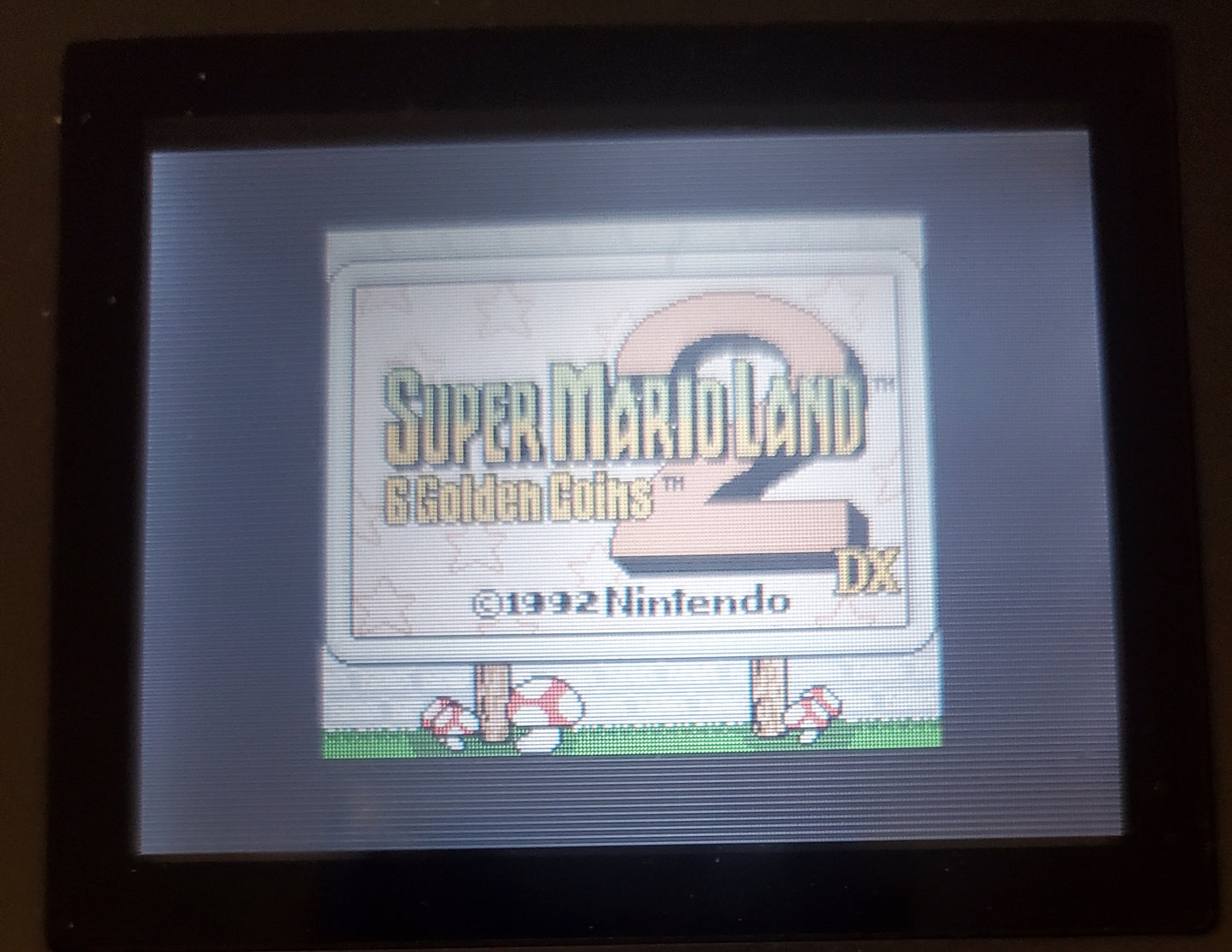 Super Mario Land 6 Golden Coins DX GBA Video Game Boy Advance