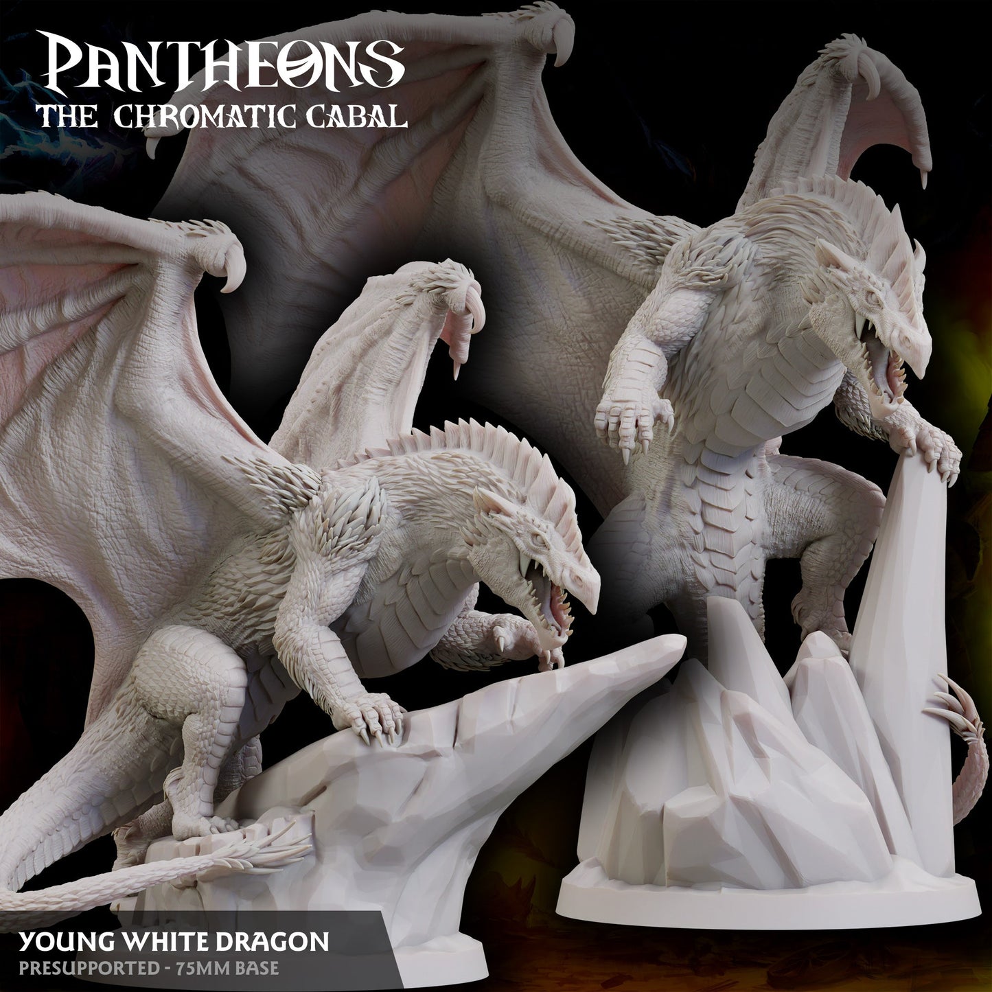 Young White Dragon