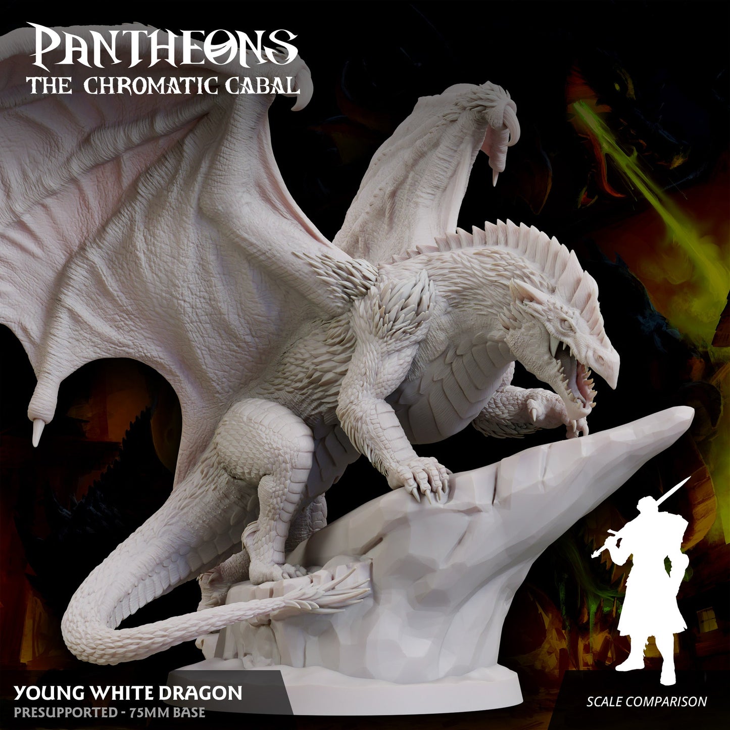 Young White Dragon