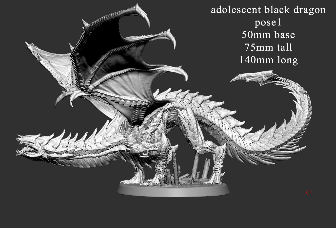 Adolescent Black Dragon