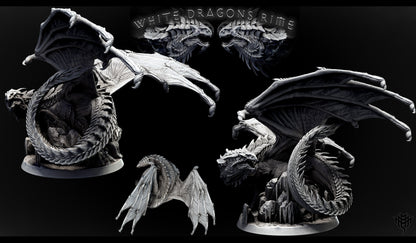 Adolescent White Dragon