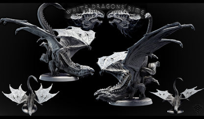 Adolescent White Dragon