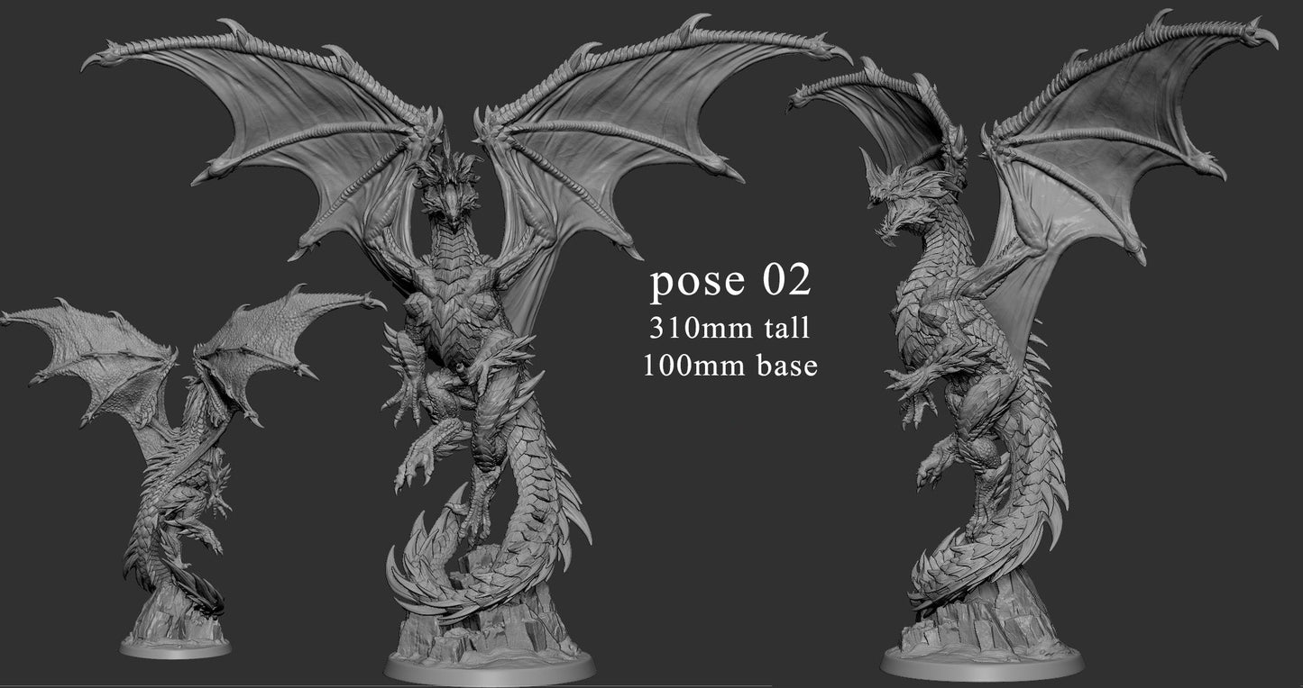 Adult Blue Dragons