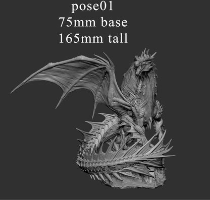 Adult Green Dragon