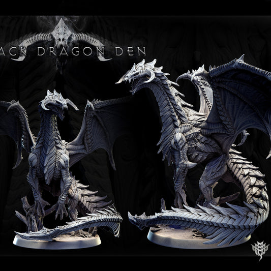 Adolescent Black Dragon