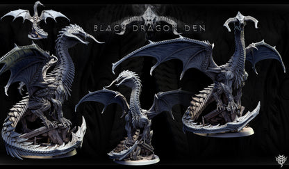 Adult Black Dragon