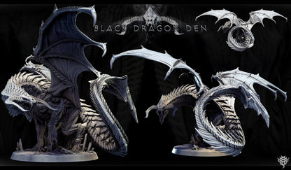 Adult Black Dragon