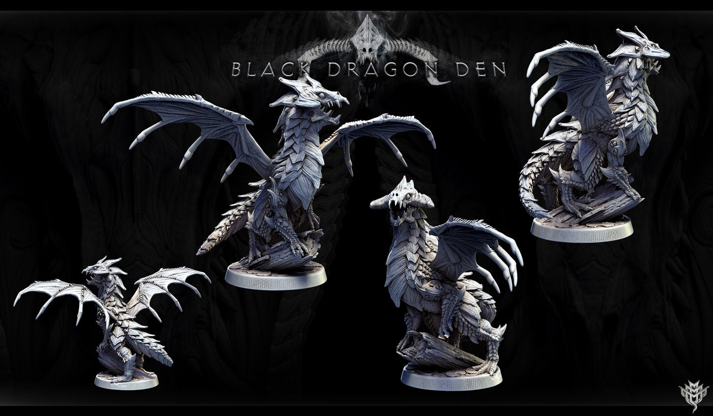 Young Black Dragon