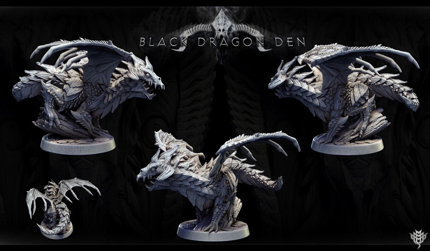 Young Black Dragon