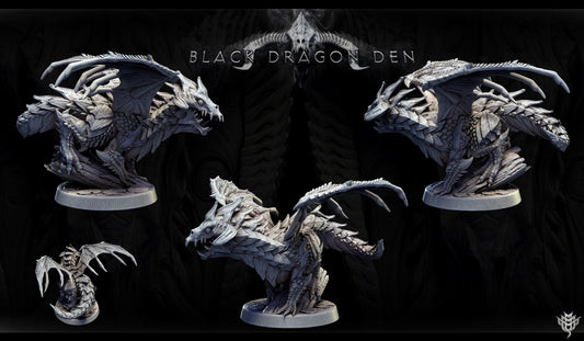 Young Black Dragon