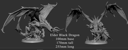 Elder Black Dragon