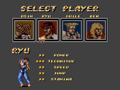 Street Fighter 2 in Streets of Rage 2 Air Combo Edition Sega Genesis Game Cart