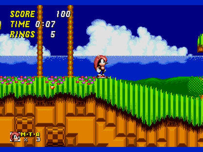 Mighty & Ray in Sonic the Hedgehog 2 Sega Genesis Game Cart Repro