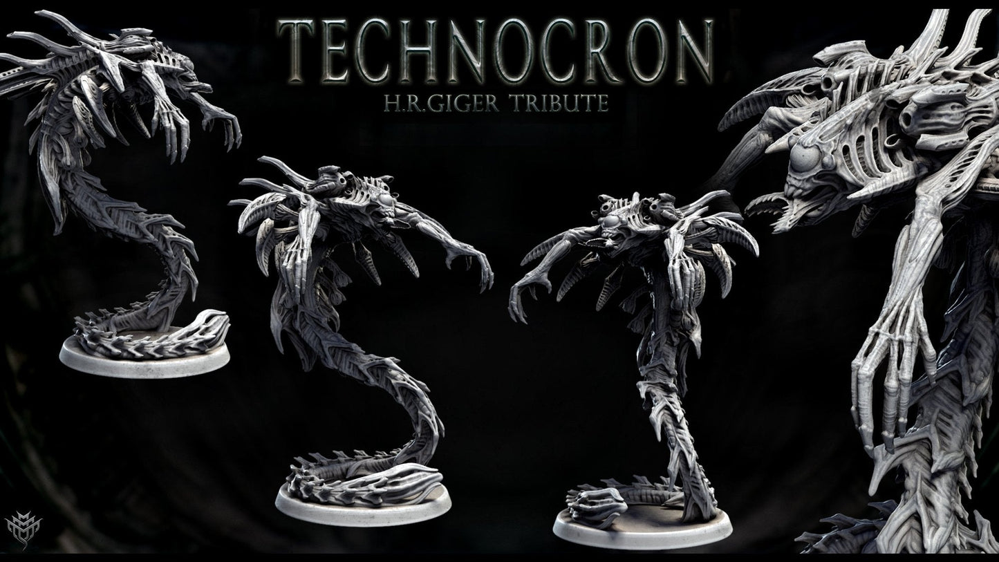 Neomorph Gliders