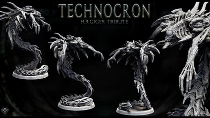 Neomorph Gliders