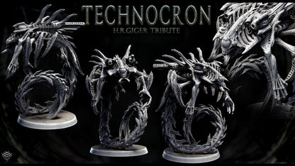 Neomorph Gliders