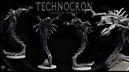Neomorph Gliders