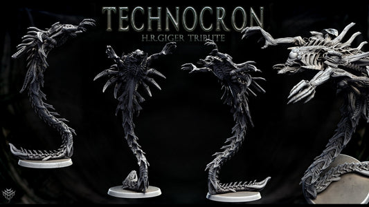 Neomorph Gliders