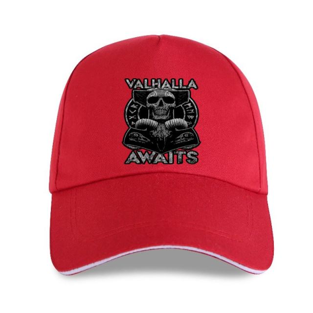 Valhalla Awaits Skull Print Cap