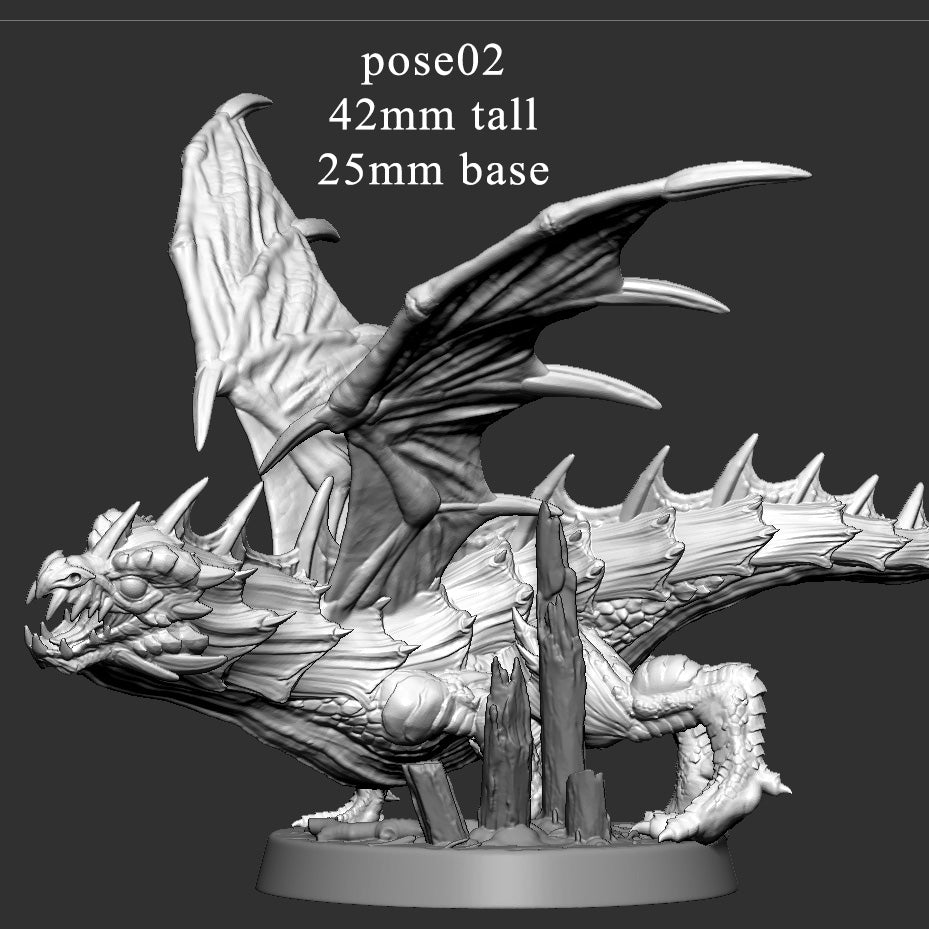 Young Green Dragon