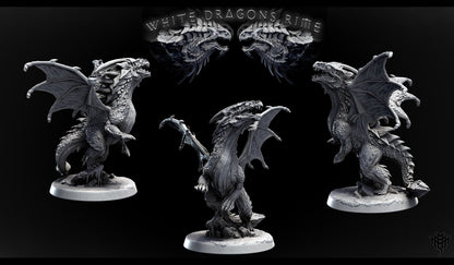 Young White Dragon