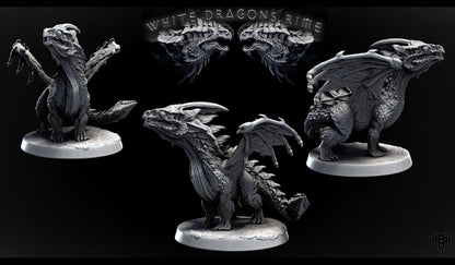 Young White Dragon